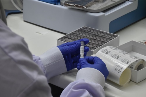 Scientist wearing lab coat and gloves, sitting at a lab bench attaching labels to specimen tubes. 