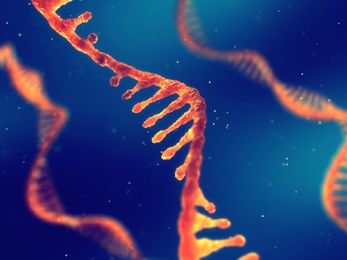 Single strand of RNA coloured in orange shades. 