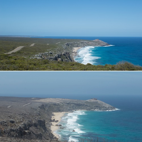 Before and after pictures of the Remarkable Rocks lookout, Kangaroo Island; top image shows large section of highly vegetated land leading up to the coast and headland; bottom image shows entre section burnt out. 