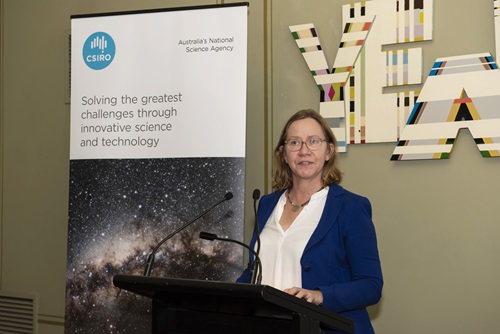 Ms Gail Fulton standing at a lectern.