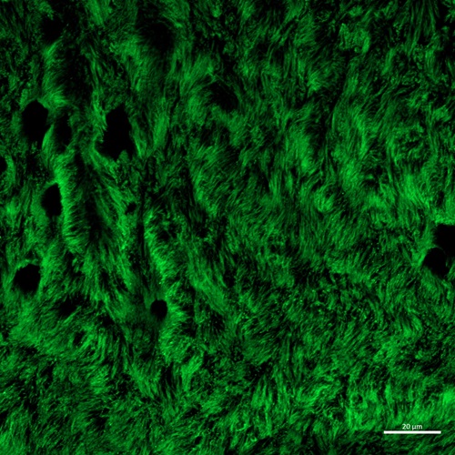Green cloudy image on a black background