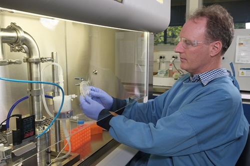 A scientist holds a mask under a fume hood