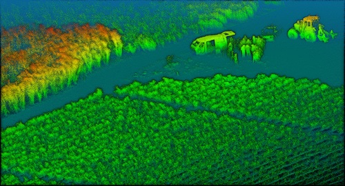 Heat map shows the outline of people standing in a field of sugarcane.
