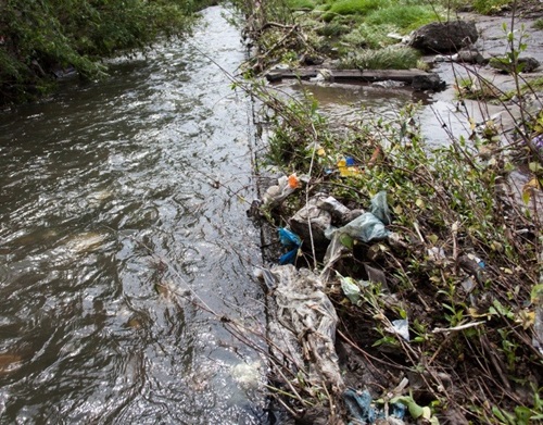 Rubbish is caught up in weeds in a river