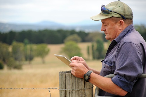 farmer in a paddock with an ipad