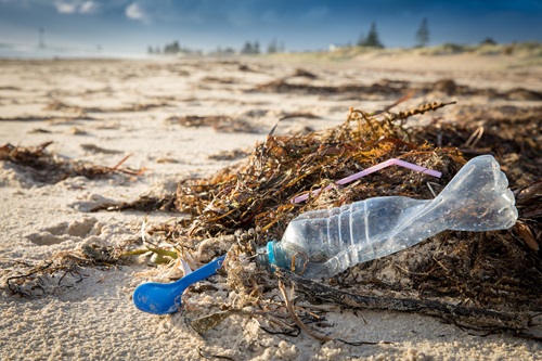Plastic bottle on the beach