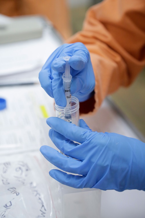 Close up of gloved hands using a syringe to transfer a substance into a larger tube. 