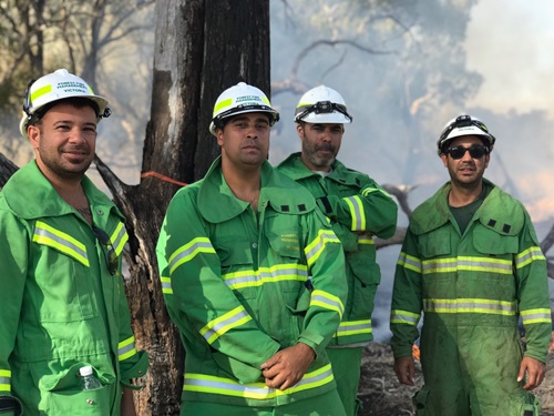 Four people standing in the bush in fire fighting gear.