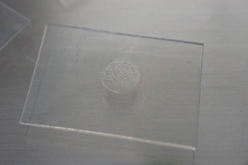 Small circle of dried virus with an uneven surface in the middle of a rectangular piece of clear smooth vinyl.