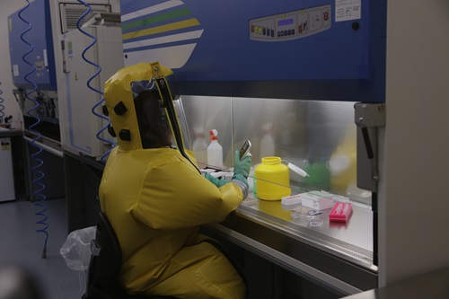A person wearing a bright yellow fully enclosed biosecurity suit is sitting at a laboratory cabinet. 