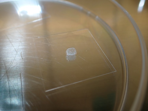 A small circle of dried liquid on a rectangular piece of glass.