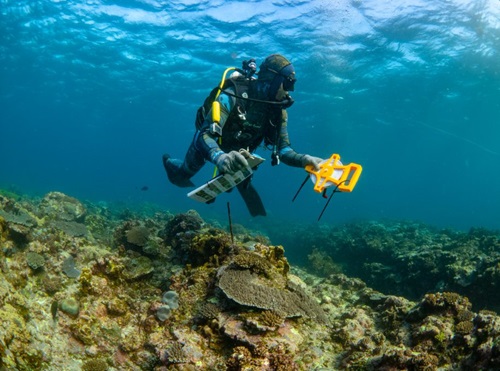 scuba diver