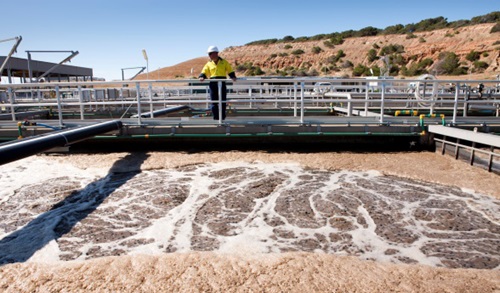 A person stands beside a big pool of water