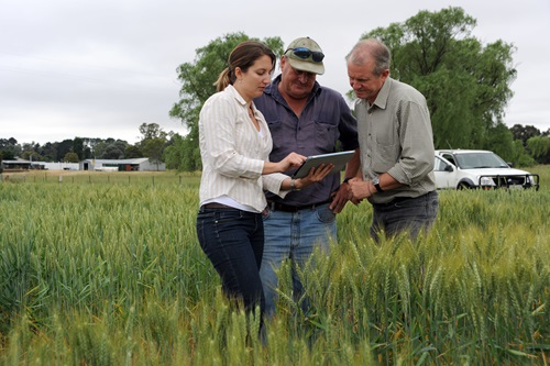 Farmer and CSIRO researchers
