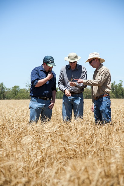 Farmer and CSIRO researchers