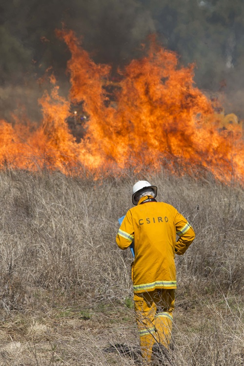 Man standing in front of grass fire. 
