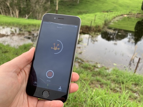 Using the FrogID app, the public can contribute to research about the affects of bushfires on Australian amphibians.
