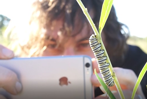 Spot and ID species in your own backyard to earn points and challenge friends. 