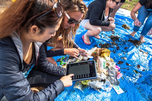People soting through marine debris on a blue tarp. 