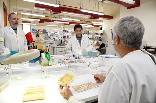 Three scientists in white lab coats talking while working in a lab surrounded by equipment. 