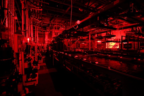 Simulation experiment with coral kept under red lighting. 