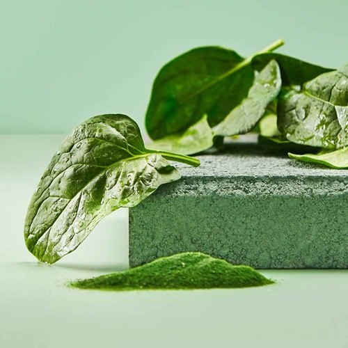 NutriV Vegetable Powder and Spinach Leaf