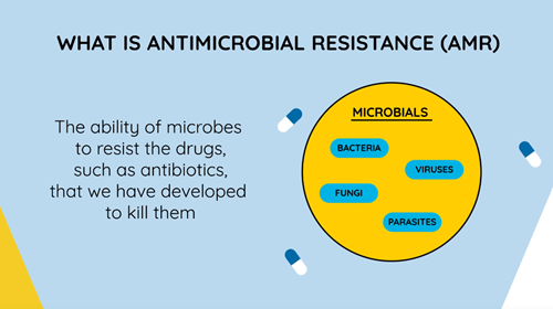 A diagram explaining antimicrobial resistance.