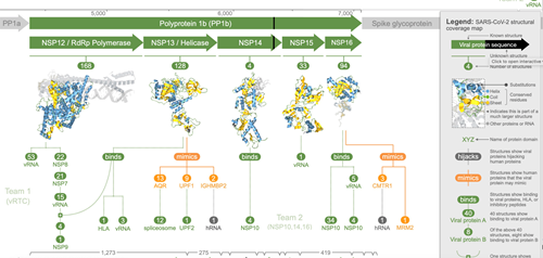 The Aquaria platform summarising and mapping COVID-19 proteins 