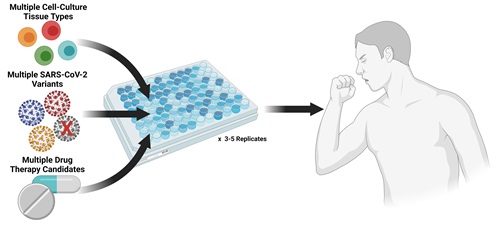 An illustration with colored dots and drugs on the left, depicting the SARS-CoV-2 virus, human tissue cells and drugs, in the middle a rectangular plate with several holes and on the right a photo of the top half of a person . 