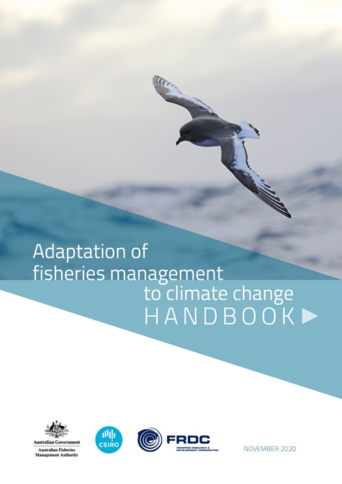A seabird flies over the ocean. text reads Adaptation of fisheries management to climate change HANDBOOK.