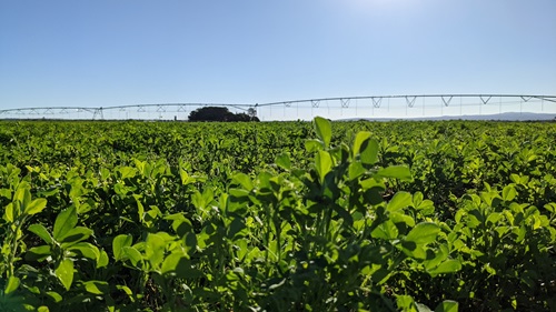 Forest Hill Agricultural Research Station