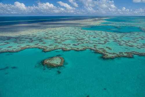 Aerial photo of coral reefs