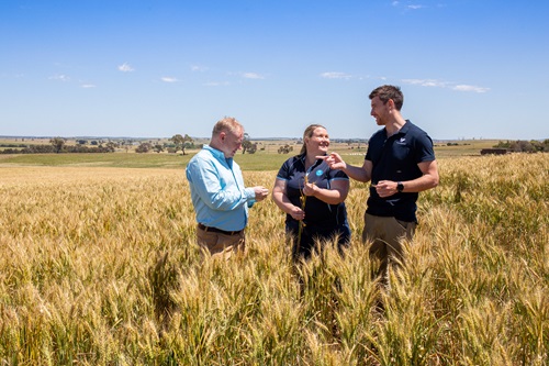 Lee Hickin, Microsoft Australia; Rose Roche, CSIRO and Stu Adam, Agronomeye at CSIRO’s Boorowa Agricultural Research Station in NSW.