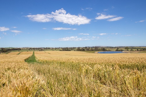 CSIRO’s state of the art Boorowa Agricultural Research Station.