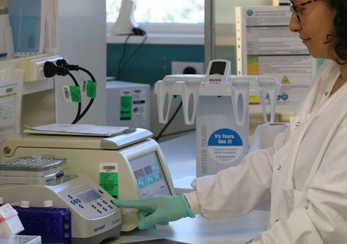 A woman standing at a laboratory bench, pushing a button on a piece of equipment used for her experiments.