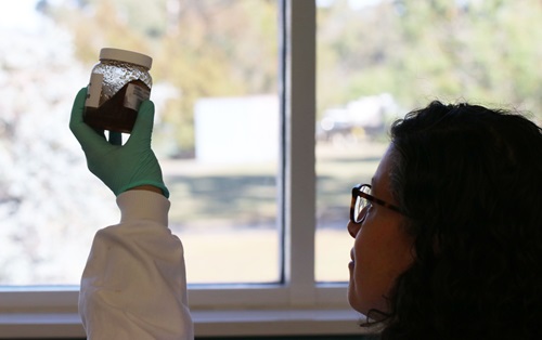 A woman standing in front of a windown holding up a glass jar of honey and looking at it.