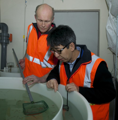 Rob King and So Kawaguchi studying krill