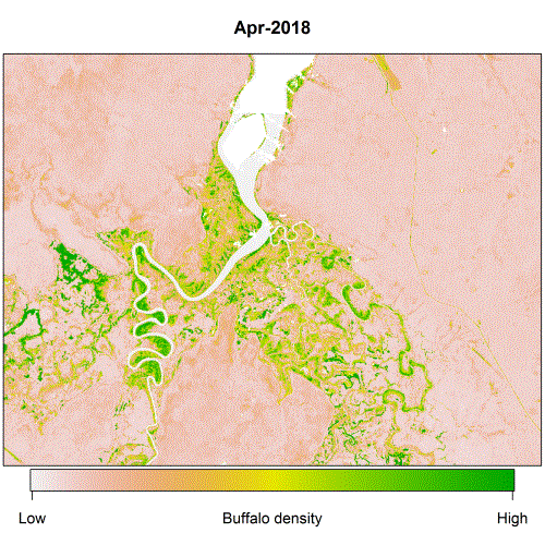 Herd density changes over time.