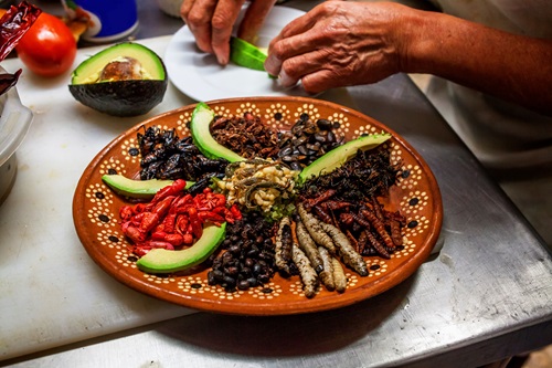 A large plate with a variety of insects being prepared for a meal.