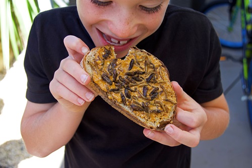 Young person eating toast spread with peanut butter and insects.