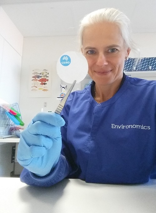 Cindy Bessey in a lab holding up a filter with tweasers. 