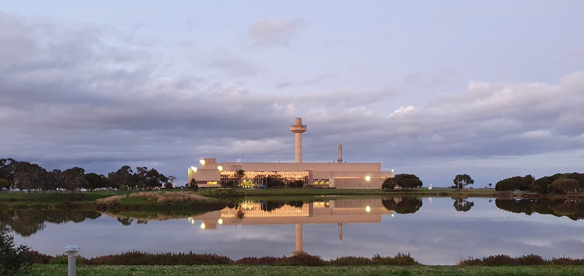 Australia and world experts join forces against animal diseases in Geelong CSIRO