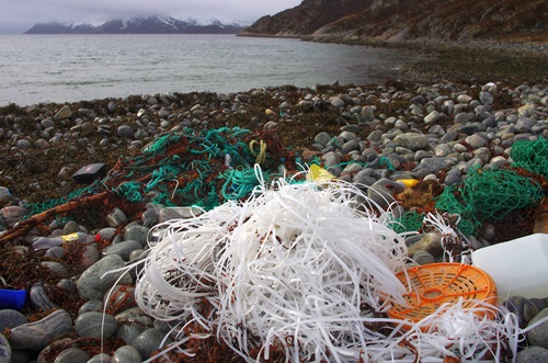 Pieces of fishing net and plastic washed up on a beach