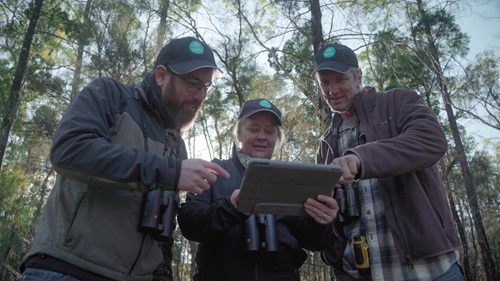 Two men stand either side of a woman, all from CSIRO, in a forest looking down at an Ipad device.