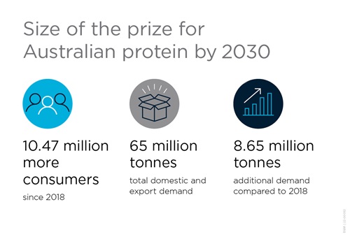 Infographic on protein growth opportunity