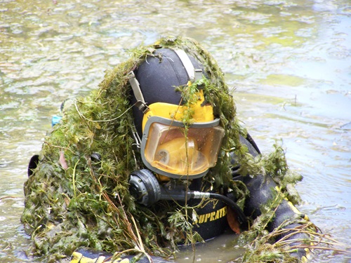 A scuba diver covered in Cabomba weed emerging from a lake.
