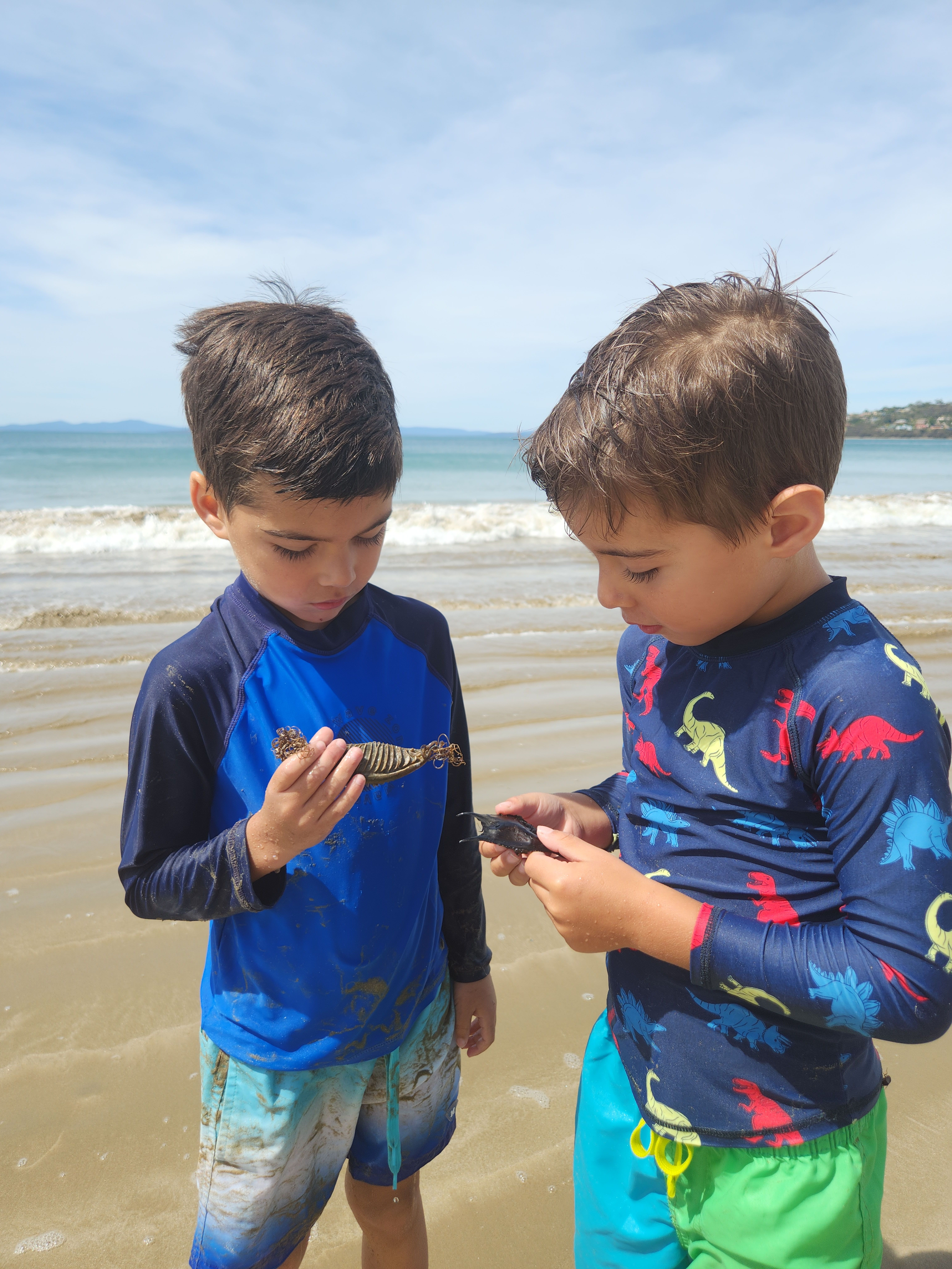 Two young children standing on a beach holding egg cases they have found.