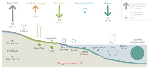 The Global Carbon Cycle. 