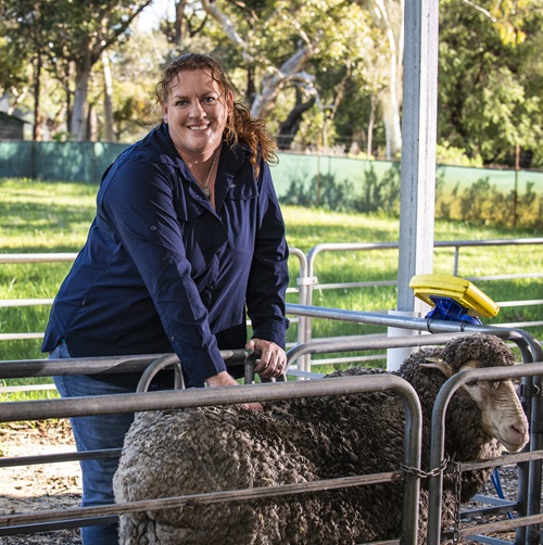 Person (Hayley Norman) standing next to a sheep. 