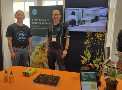 CSIRO scientists Dr Xue-Rong Zhou and Dr Matt Nelson are at the forefront of canola innovation 